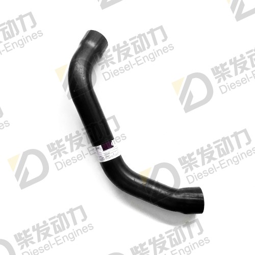 Hose 21076783